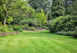 Optimiser l'expérience du jardin à Appenans